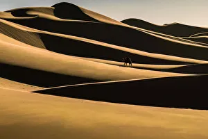 Images Dated 13th July 2018: Gobi desert in Mongolia