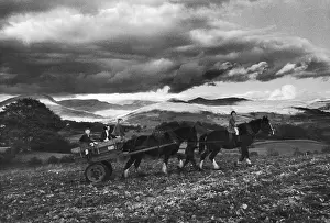 Skyscape Prints: Going Home
