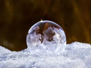 Frost Collection: Gold Bubble