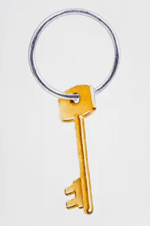 Vertical Image Gallery: Gold key on ring