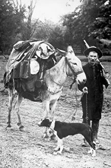 Yukon Prints: Gold Prospector with Pack Mule and Dog