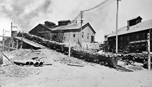 Fotosearch Collection Prints: Gold Rush