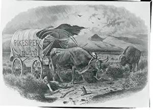 Gold Rush Prospector Dying on Plains