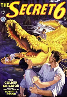Monster Prints: The Golden Alligator