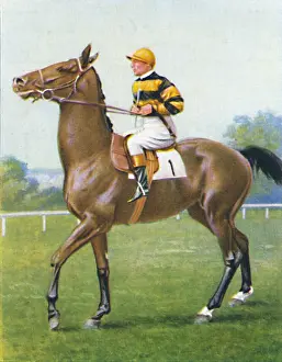 Racetrack Prints: Golden Sovereign