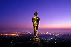 Images Dated 25th December 2010: The golden standing buddha statue in Nan