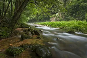 Images Dated 10th June 2012: Golden Whip Stream Zhangjiajie National Park