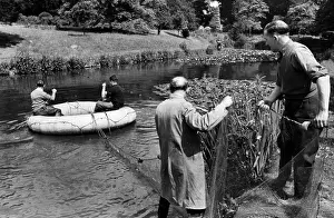 Goldfish Fishing