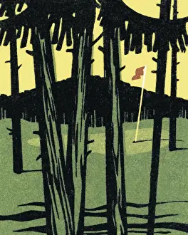 Fir Tree Prints: Golf Course