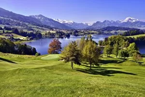 Images Dated 27th May 2013: Golf course on the Lake of Gruyere or Lac de la Gruyere, Fribourg Alps at the back with Mt Moleson