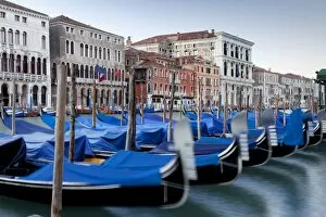 Gondolas on the Grand Canal, Canal Grande, in the morning, Venice, Venezien, Italy