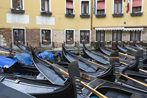 Honeymoon Prints: Gondolas moored in Grand Canal. Venice, Veneto, Italy