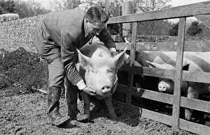Farm Animal Prints: Good Luck Hug