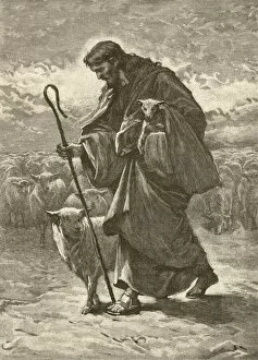 Images Dated 11th August 2014: Good Shepherd