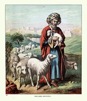 The Good Shepherd with his flock of sheep, Victorian Children's book illustration 19th Century