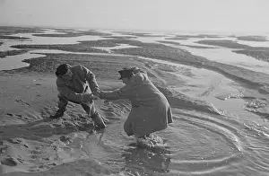 Tide Prints: Goodwin Sands