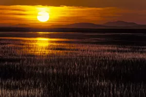 Images Dated 12th July 2016: Goose Lake at sunset, Stillwater National Wildlife Refuge, Nevada, USA