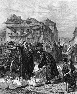 Goose Market