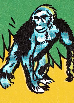 Images Dated 22nd January 2015: Gorilla