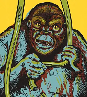 Cruel Prints: Gorilla