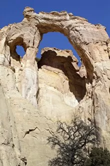 Rock Face Gallery: Gosvenor Arch, Cannonville, Utah, USA, America