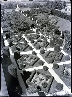 Shaped Prints: Governor's Garden in Colonial Williamsburg