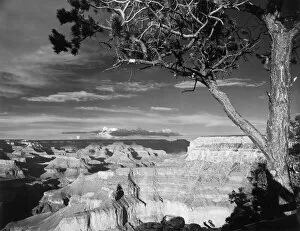 Natural World Gallery: Grand Canyon