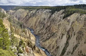 Images Dated 9th October 2011: Grand Canyon of the Yellowstone River, view from the Brink of Lower Falls, downriver, North Rim