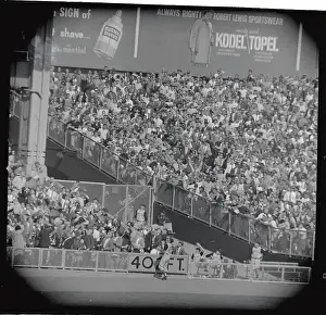 Grandstand Scene After Long Drive Baseball