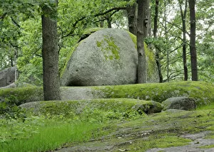 Images Dated 14th August 2009: Granit rock, Blockheide nature park in Gmuend, Lower Austria, Austria, Europe