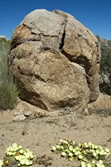 Crack Prints: Granite rock, split by extreme temperature fluctuations, Namaqualand, South Africa, Africa