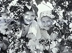 Grapes Prints: Grape Pickers Pause for the Camera
