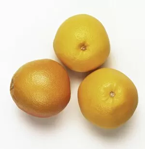 Three grapefruits, close up