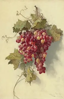 Prints of Grapes Against White Wall, 1883. Artist Edwin Deakin. (Photo by Heritage Art/Heritage Images via Getty Images) Quiet Beauty: Moments of Stillness Captured in Art: Grapes Against White Wall