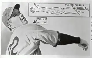 Graph of Jerome Dean's Arm Muscle
