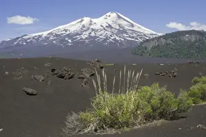 Stratovolcano Prints: Grass on lava ash and Llaima volcano