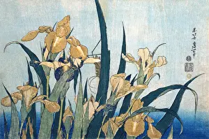 Irises Prints: Grasshopper & Irises