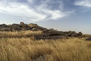 Grassland on top of Bandiagara Escarpment