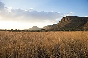 Afternoon Prints: Grasslands and mountains at sunset, Marataba Private Game Reserve, Limpopo, South Africa