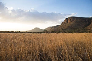 Images Dated 30th November 2017: Grasslands and mountains at sunset, Marataba Private Game Reserve, Limpopo, South Africa
