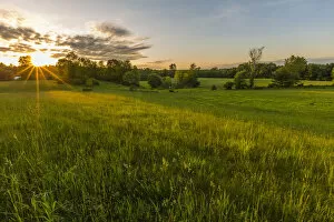 Images Dated 3rd June 2015: Grassy field at sunset, Epping, New Hampshire, USA