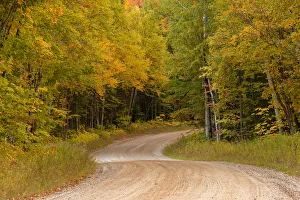 Images Dated 9th May 2016: Gravel road through Hiawatha National Forest, Upper Peninsula of Michigan, USA