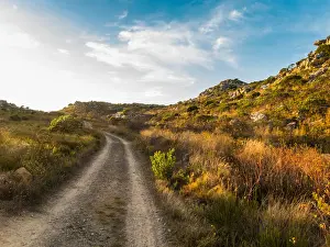 Mountain Top Prints: A gravel track through fynbos on the plateau of the Cape Peninsula Mountain Range