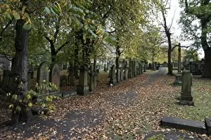 Images Dated 28th October 2016: Graveyard in autumn, Edinburgh, Scotland, United Kigndom