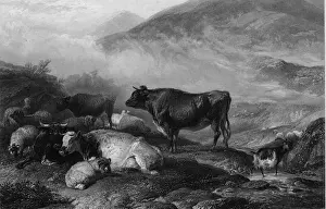 World Open Prints: Grazing Cattle