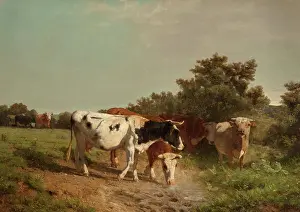 Bovine Prints: Grazing Cattle