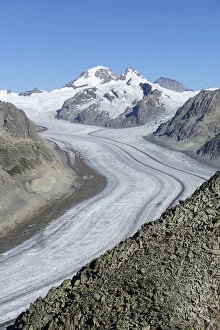 Images Dated 15th March 2012: Great Aletsch glacier, behind Mt. Eiger, Mt. Moench and Mt. Jungfrau