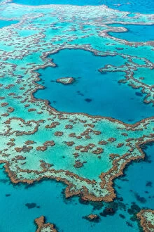 Images Dated 30th August 2015: Great Barrier Reef