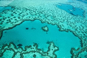 Images Dated 24th December 2015: Great Barrier Reef