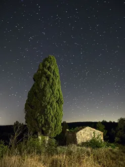 Images Dated 5th June 2015: Great cypress of more than 100 years close to a farmhouse in ruins. In the mountain